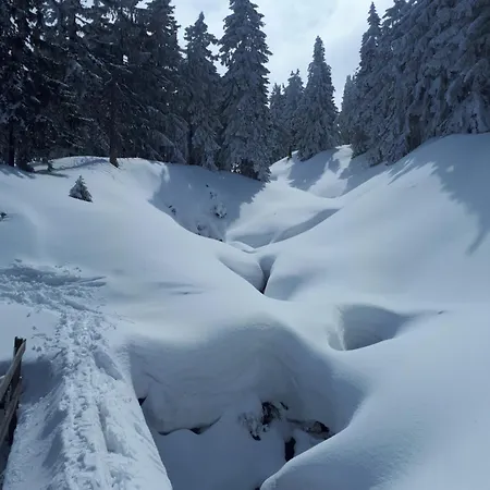 Διαμέρισμα Przy Szlaku, Gorny, Zolnierska 73a