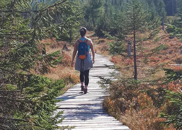 Przy Szlaku, Gorny, Zolnierska 73a