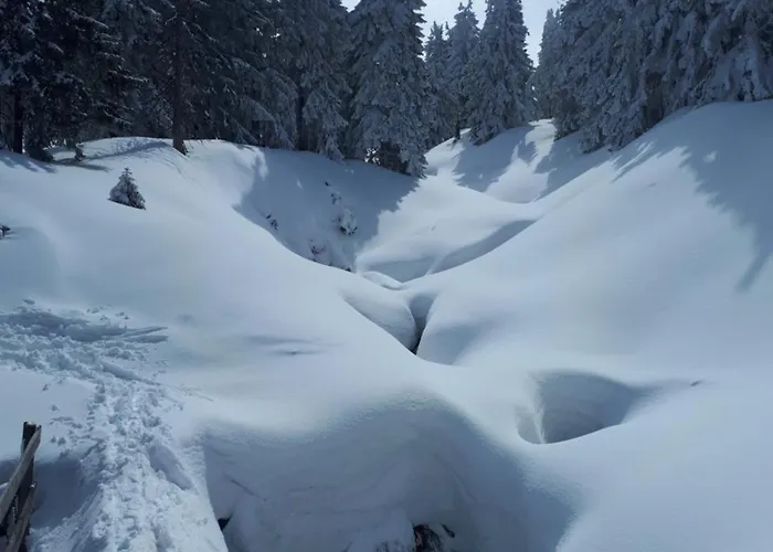 Appartement Przy Szlaku, Gorny, Zolnierska 73a