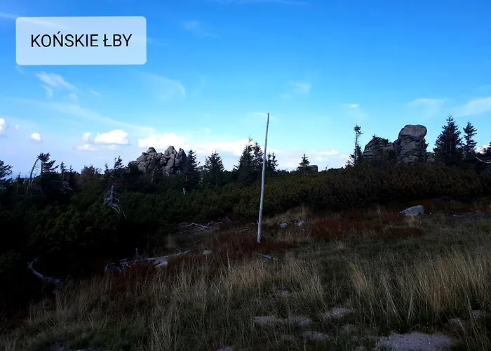 Apartament Przy Szlaku, Górny, żołnierska 73a Podgórzyn